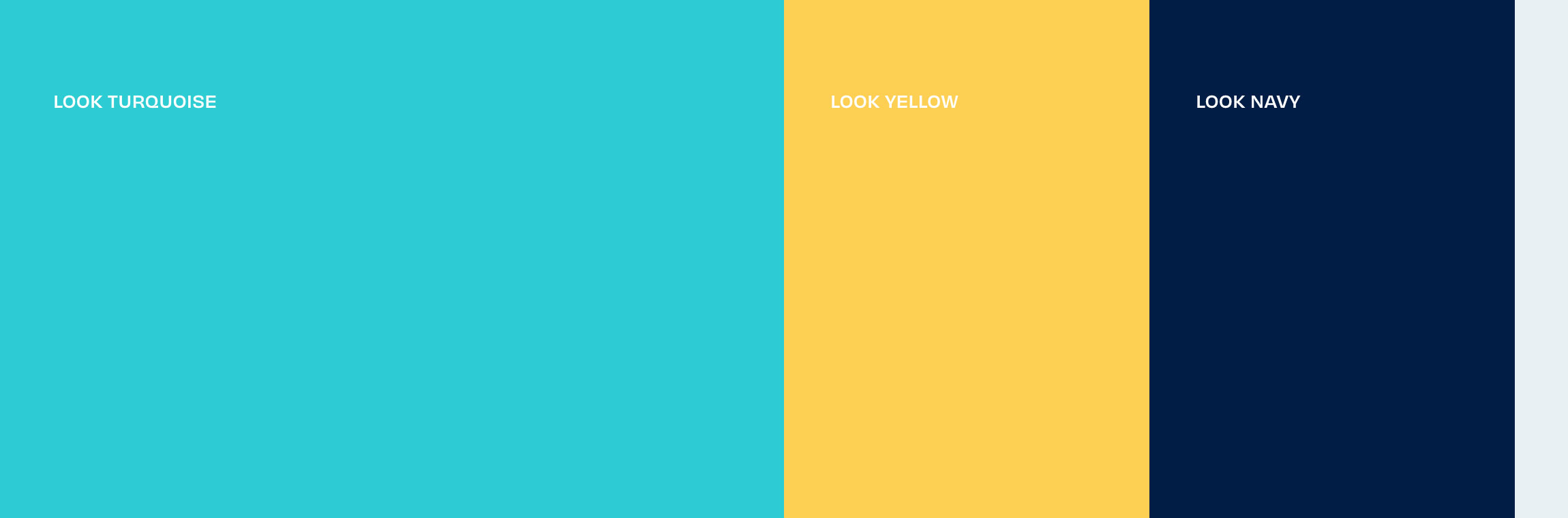 brand identity colour palette