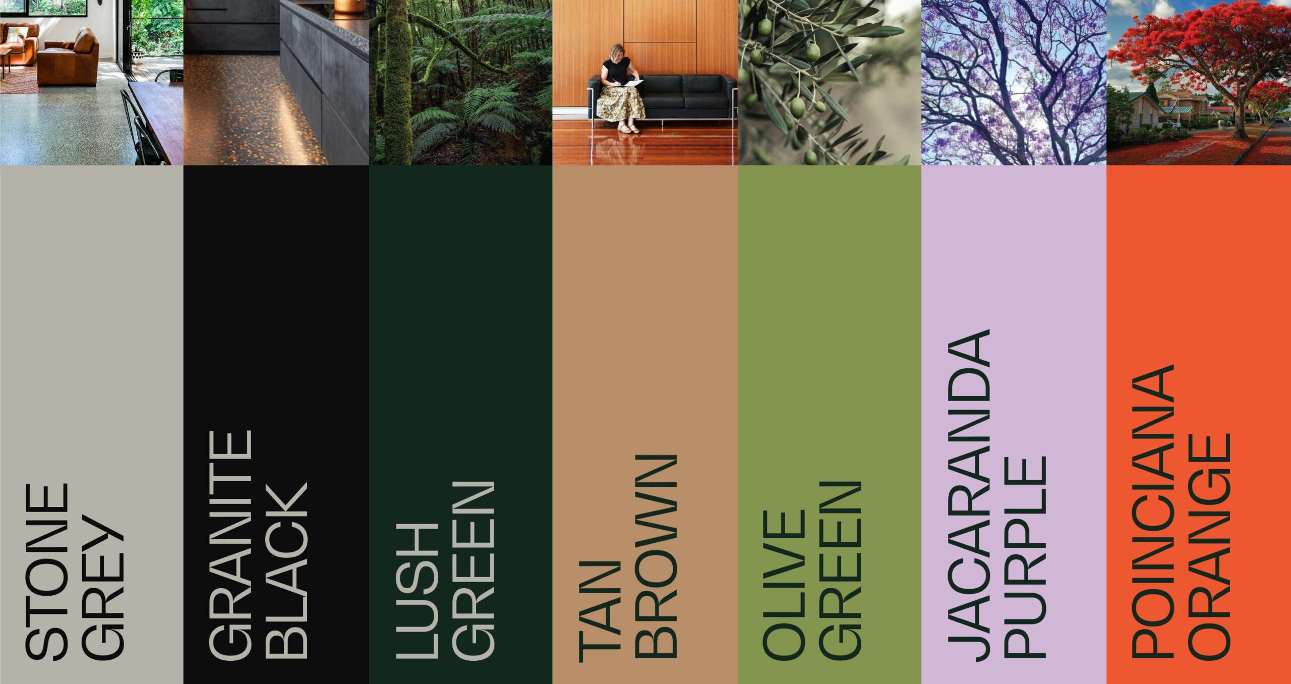 Renovation Collaborative brand design