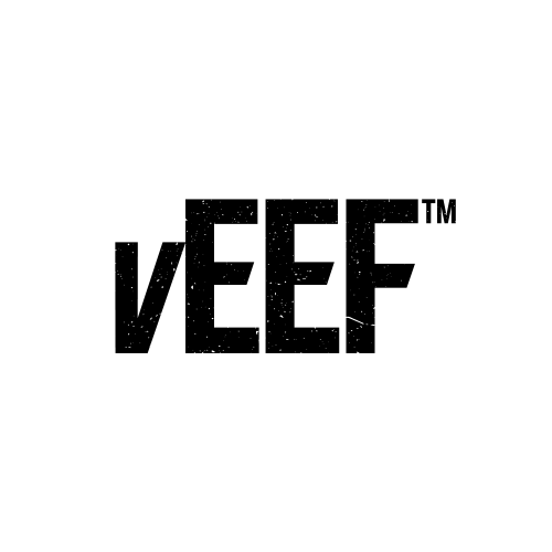 veef logo design
